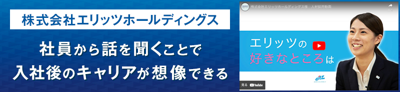 株式会社エリッツホールディングス